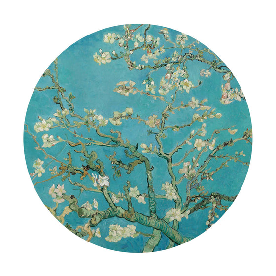 Almond Blossoms