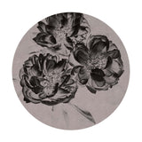 Dark Blooms in Negative