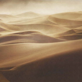 Alone by Mirko Vecernik