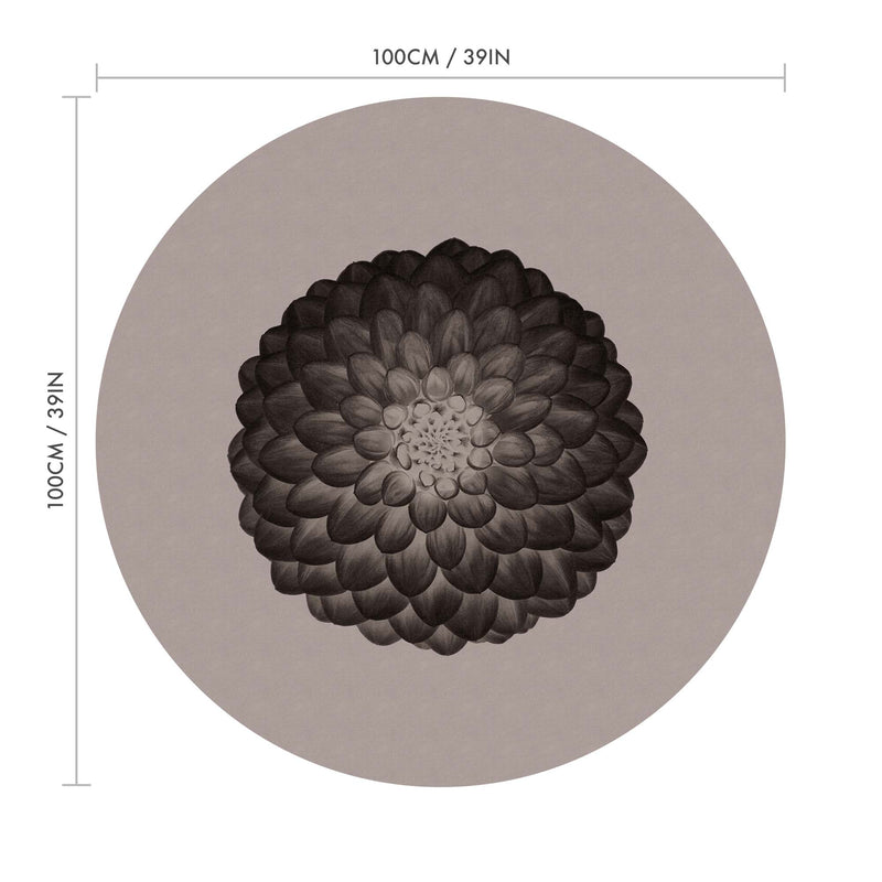 Symmetry in Negative