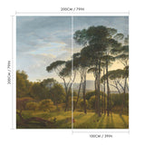 Italian Landscape with Umbrella Pines