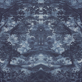 Into the Forest in Blue