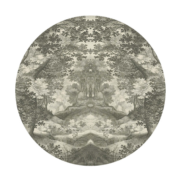 Into the Forest in Green