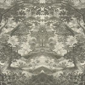 Into the Forest in Green