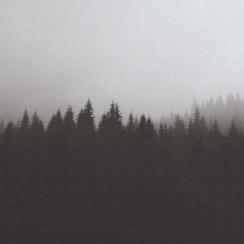 Ombregraphic Forest Noir