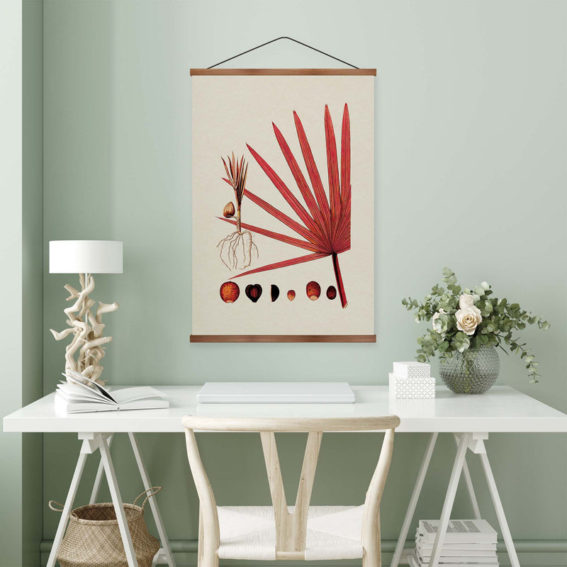 Red Latan Palm Vintage Print