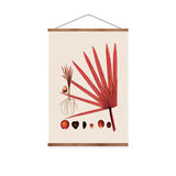 Red Latan Palm Vintage Print