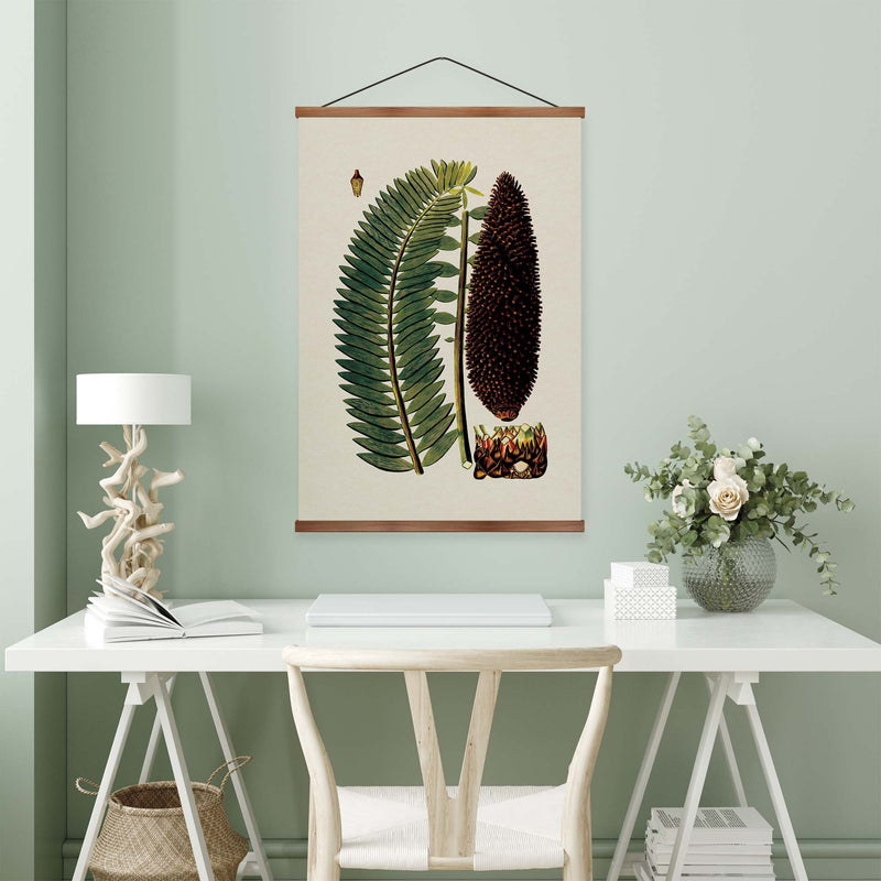 Zamia Palm Vintage Print