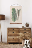 Zamia Leaf Vintage Print