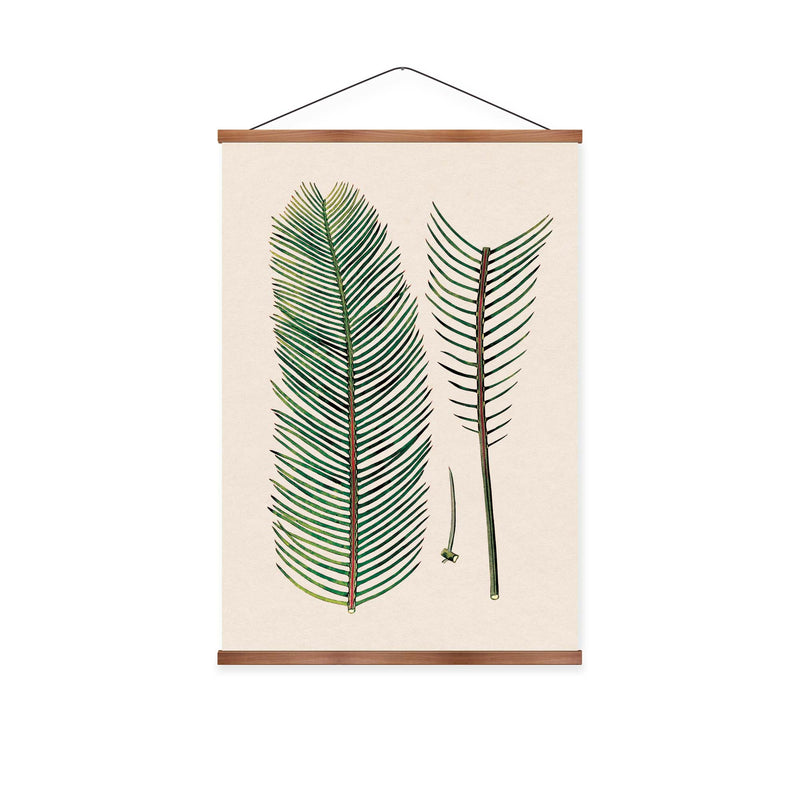 Zamia Leaf Vintage Print