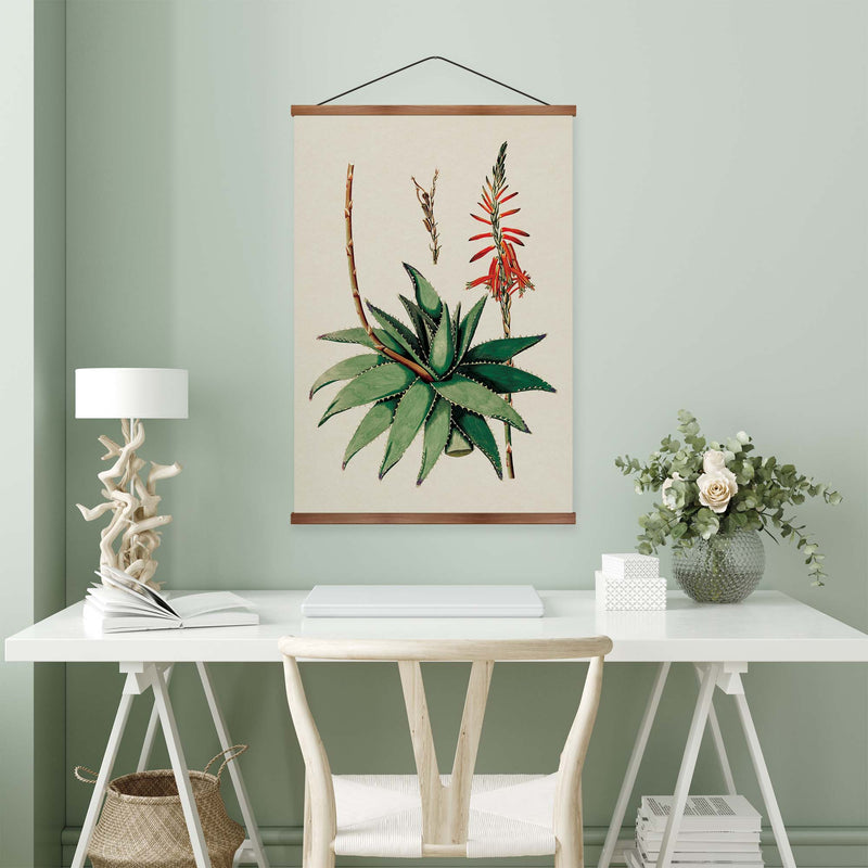 Aloe Vera Vintage Print