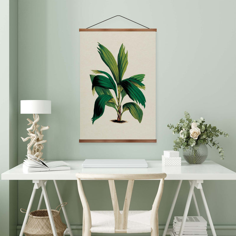 Areca Palm Vintage Print