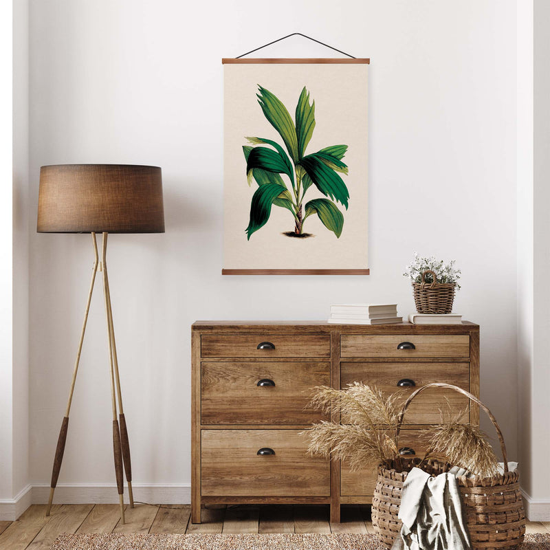 Areca Palm Vintage Print