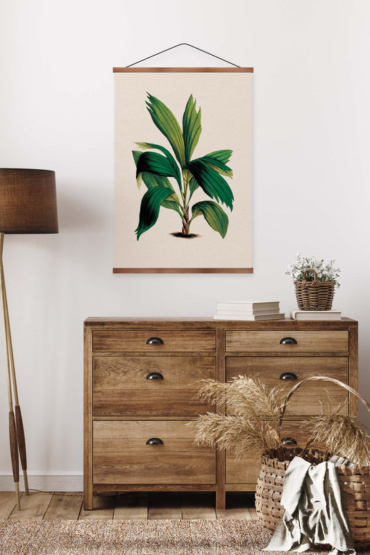 Areca Palm Vintage Print