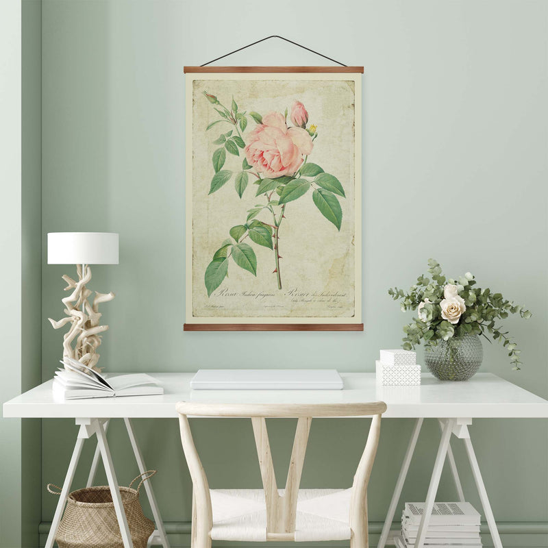 Rosa indica Vintage Print