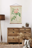 Rosa indica Vintage Print