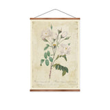 Rosa campanulata alba Vintage Print