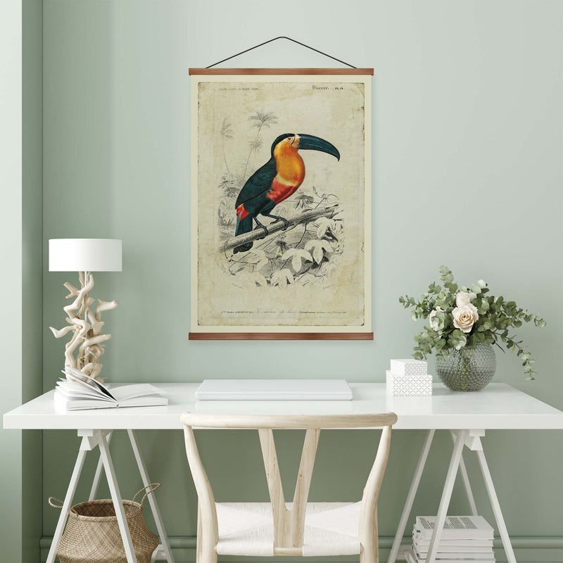 Toucan Vintage Print