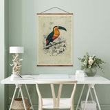 Toucan Vintage Print