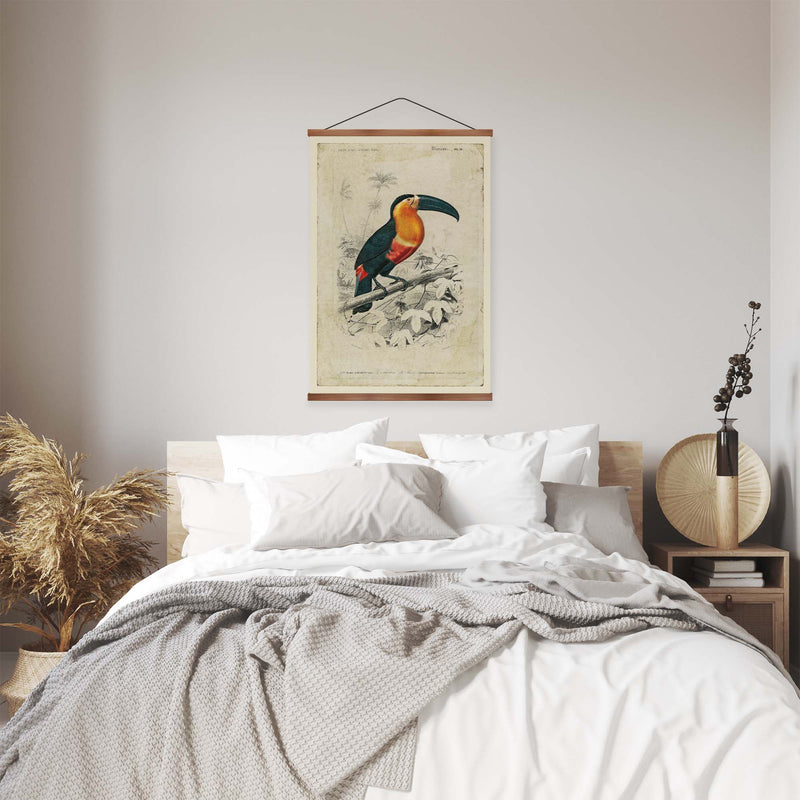 Toucan Vintage Print