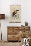 Toucan Vintage Print