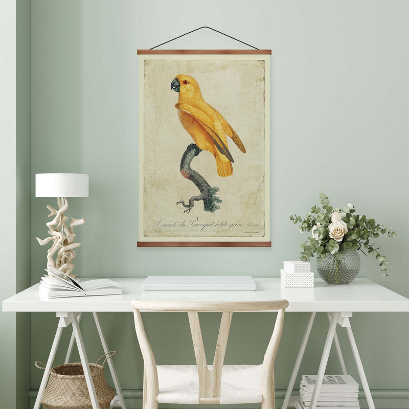 Senegal Parrot Vintage Print