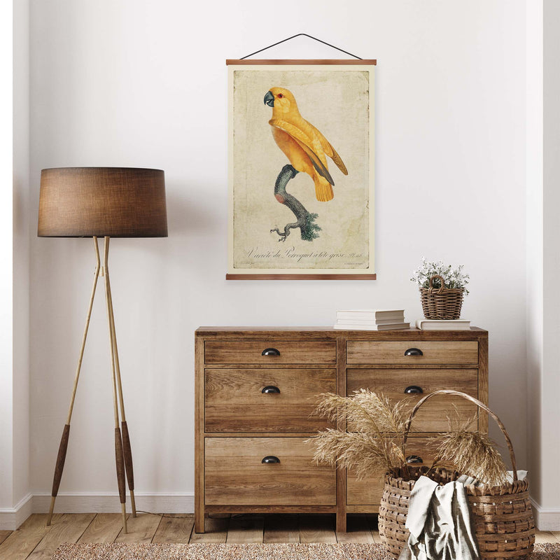 Senegal Parrot Vintage Print