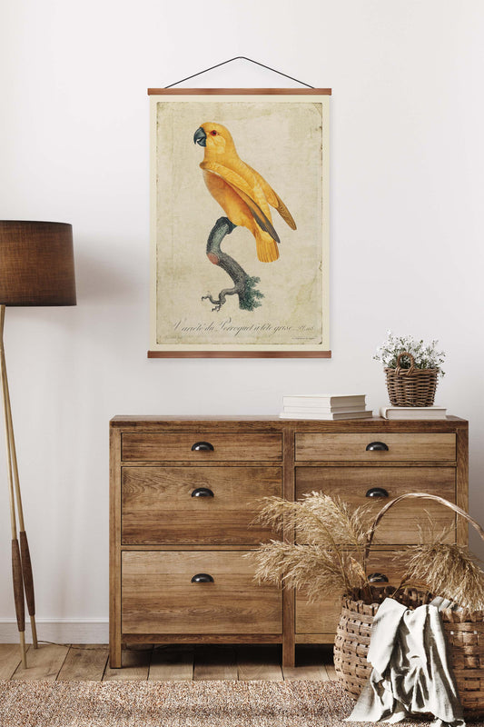 Senegal Parrot Vintage Print