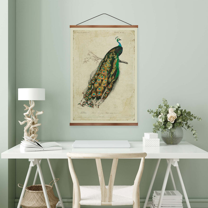 Indian Peacock Vintage Print