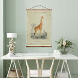 Giraffe Vintage Print