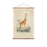 Giraffe Vintage Print