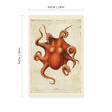 Octopus Vintage Print