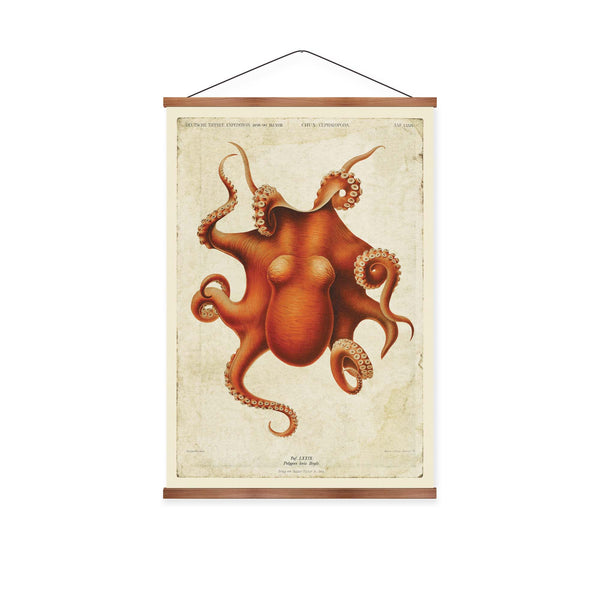 Octopus Vintage Print