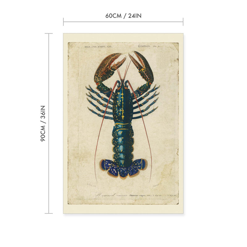 Blue Lobster Vintage Print