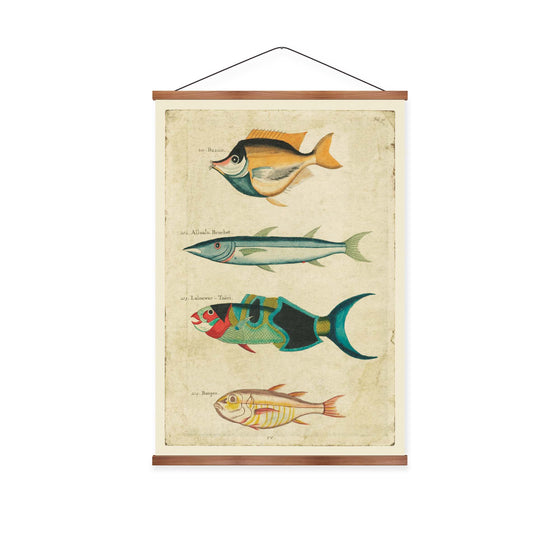 Indonesian Fish Vintage Print