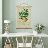 Vintage Botanicals Lemon