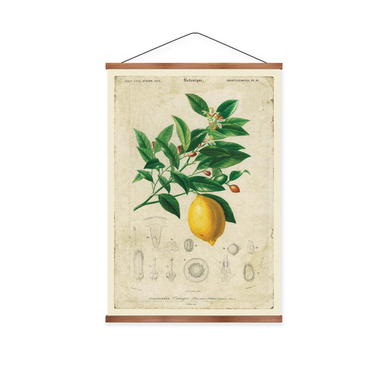 Vintage Botanicals Lemon