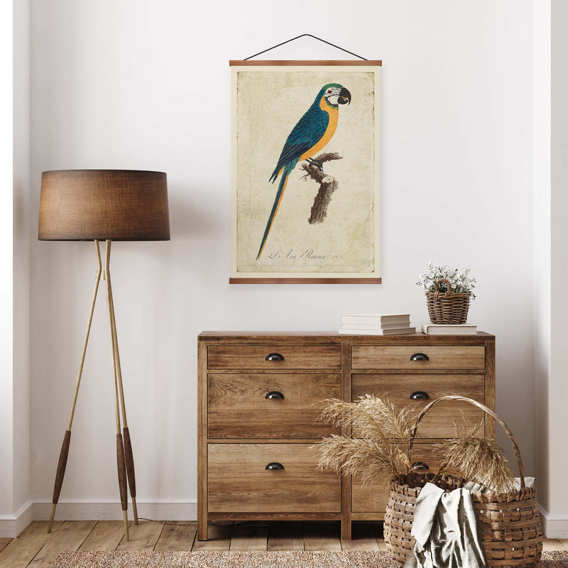 Blue & Yellow Macaw Vintage Print