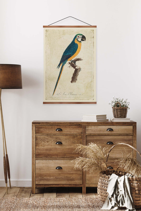 Blue & Yellow Macaw Vintage Print