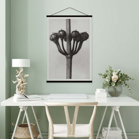 Kunstformen der Natur IV by Karl Blossfeldt