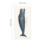 Bowhead Whale Vintage Print