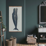 Bowhead Whale Vintage Print