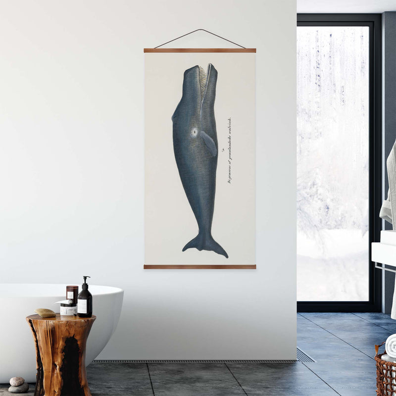 Bowhead Whale Vintage Print