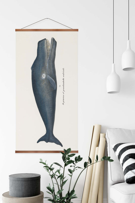 Bowhead Whale Vintage Print