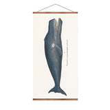 Bowhead Whale Vintage Print