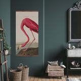 Pink Flamingo Vintage Print