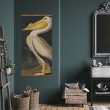 American White Pelican Vintage Print