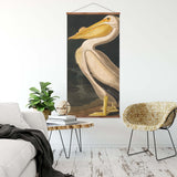 American White Pelican Vintage Print