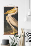 American White Pelican Vintage Print