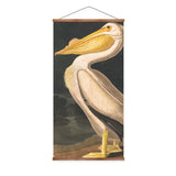 American White Pelican Vintage Print